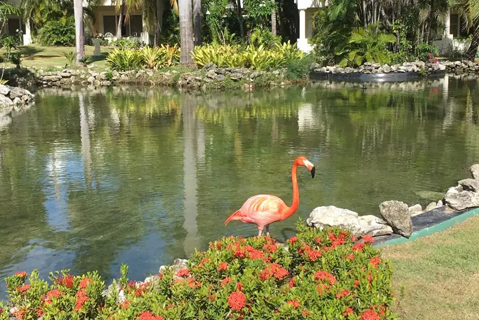 Meliá Punta Cana Beach